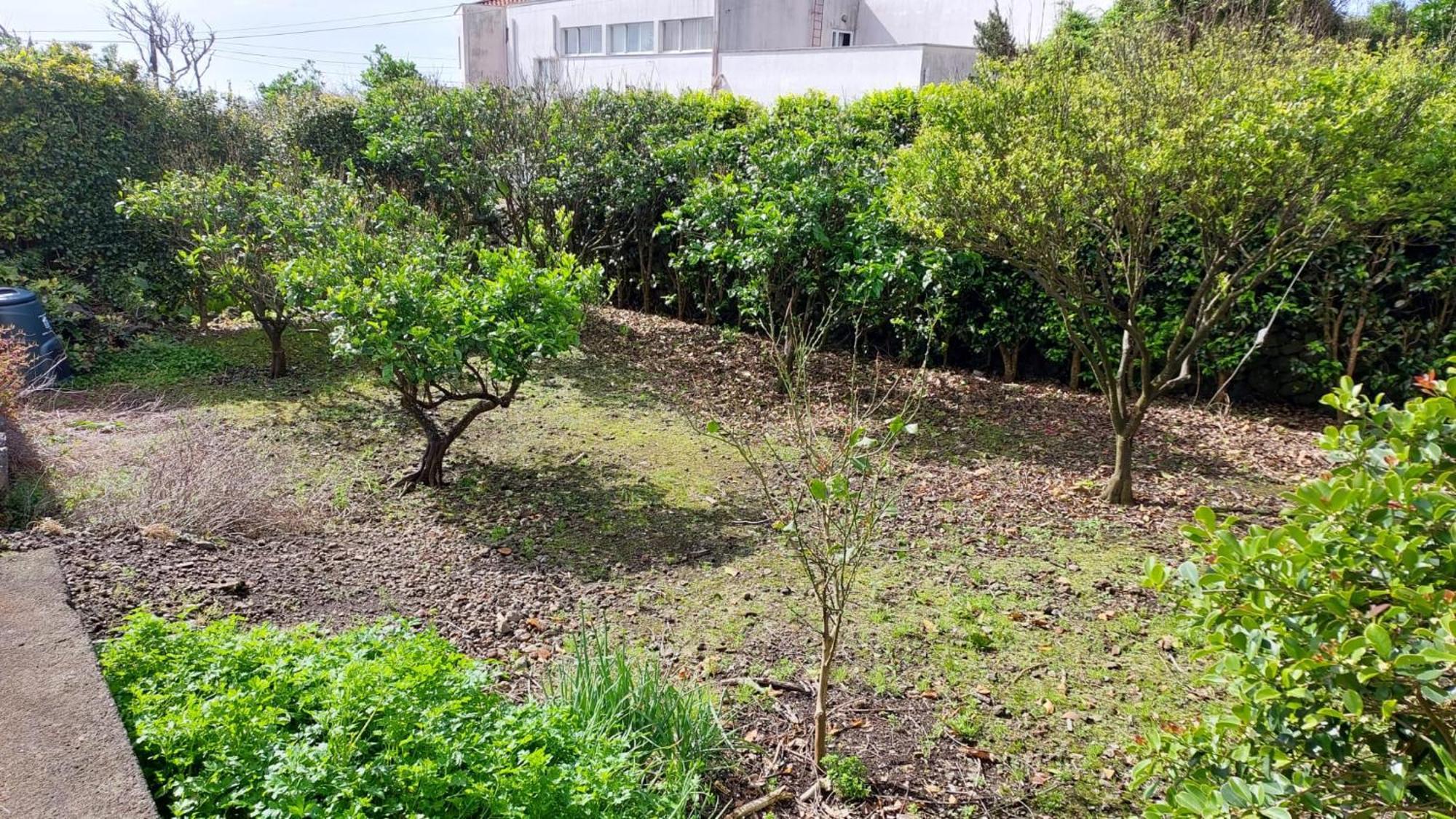 Lajes das Flores Retiro Das Camelias 1 מראה חיצוני תמונה