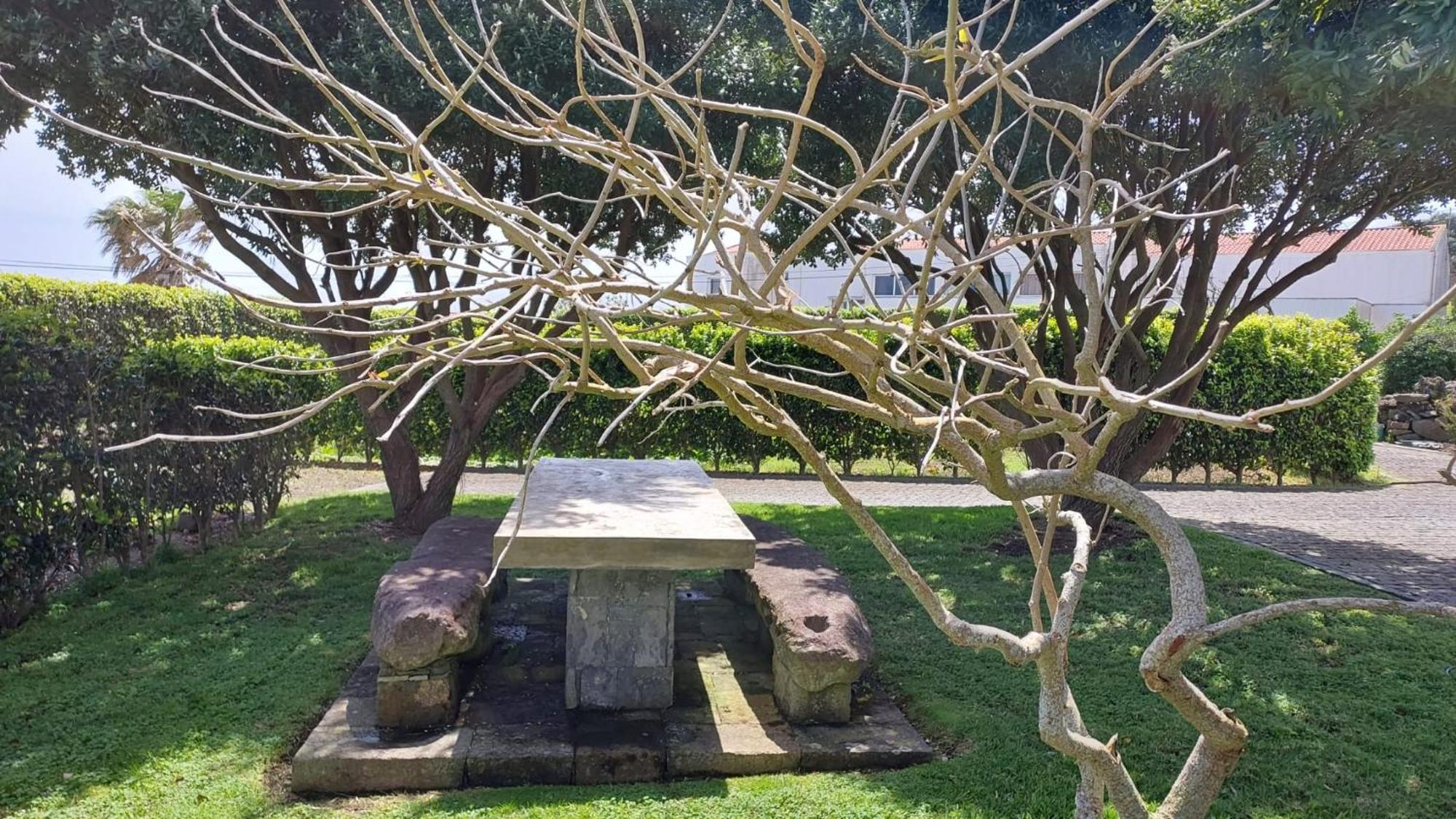 Lajes das Flores Retiro Das Camelias 1 מראה חיצוני תמונה